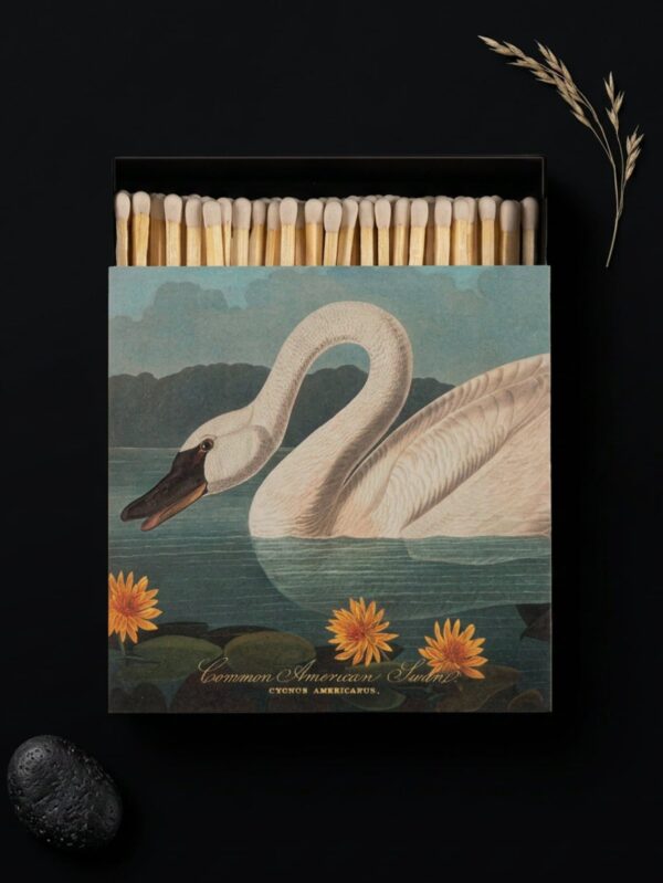 Common American Swan Matches duże zapałki premium