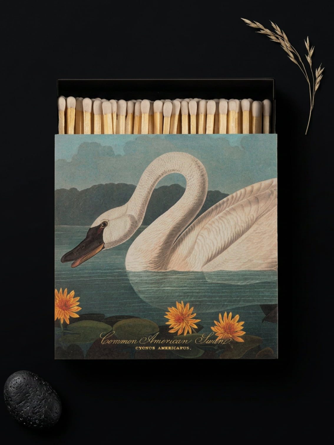 Common American Swan Matches duże zapałki premium