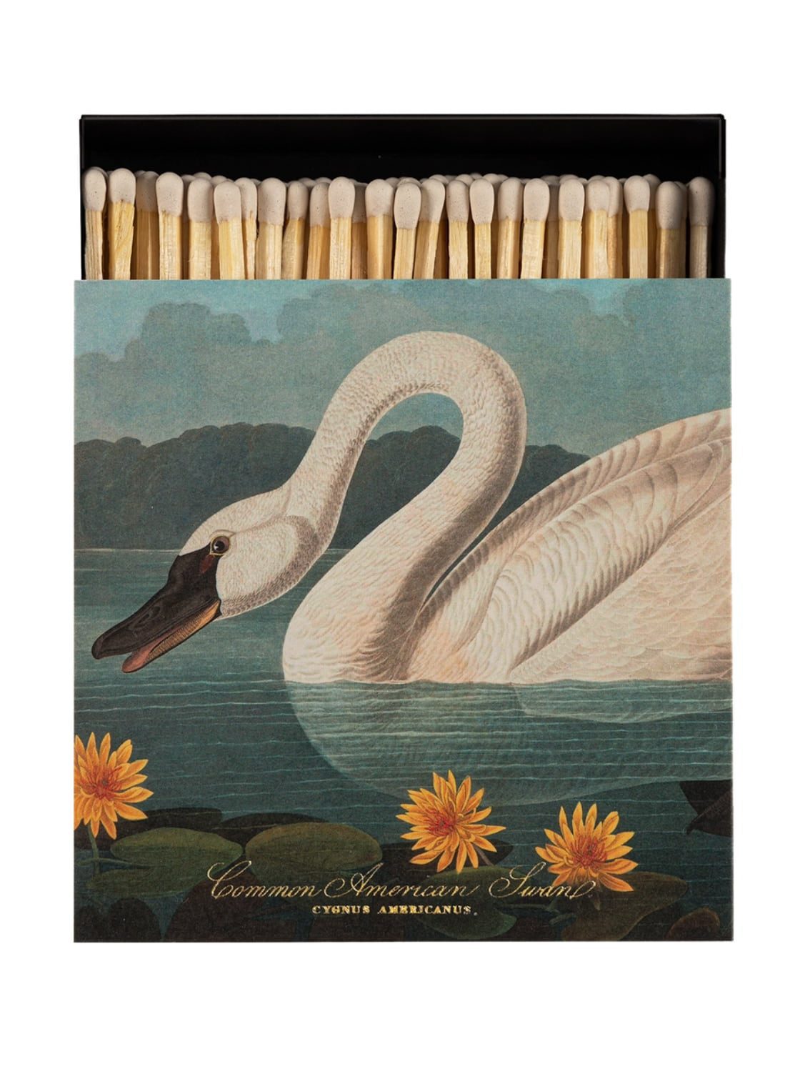 Common American Swan Matches duże zapałki premium - obrazek 3