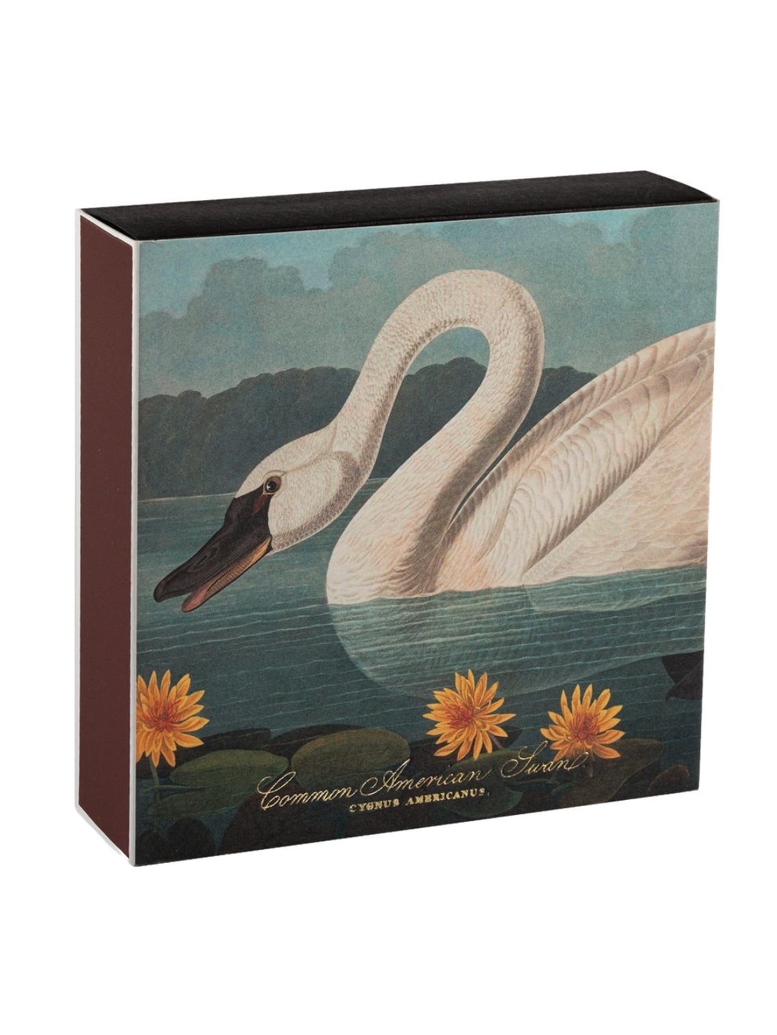 Common American Swan Matches duże zapałki premium - obrazek 2